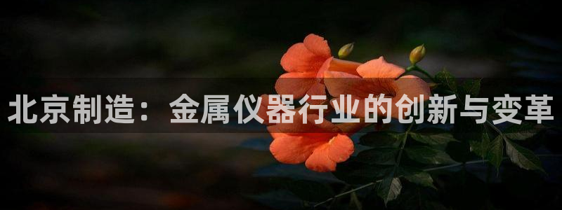 意昂体育3平台注册流程图：北京制造：金属仪器行业的创新与变革
