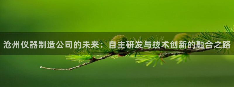意昂3科技：沧州仪器制造公司的未来：自主研发与技术创新的融合