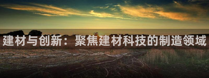 意昂3娱乐首页网站大全：建材与创新：聚焦建材科技的制造领域