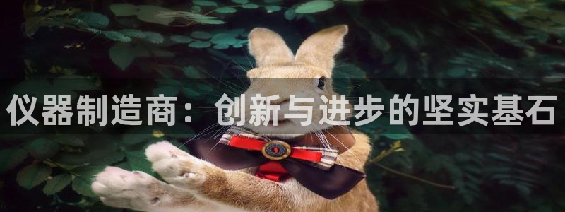 意昂体育3平台是正规平台吗：仪器制造商：创新与进步的坚实基石