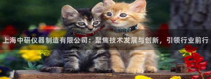 意昂3娱乐平台：上海中研仪器制造有限公司：聚焦技术发展与创新
