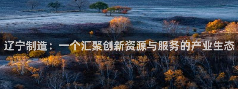 意昂3官网：辽宁制造：一个汇聚创新资源与服务的产业生态