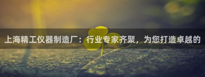 意昂3集团logo：上海精工仪器制造厂：行业专家齐聚，为您打