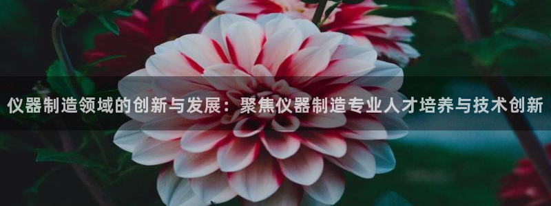 意昂体育3平台是正规平台吗：仪器制造领域的创新与发展：聚焦仪