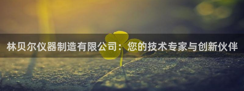 意昂集团官网：林贝尔仪器制造有限公司：您的技术专家与创新伙伴