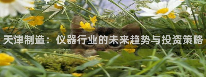 意昂体育3平台注册：天津制造：仪器行业的未来趋势与投资策略