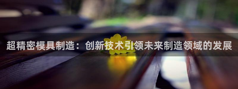 意昂体育3平台注册：超精密模具制造：创新技术引领未来制造领域