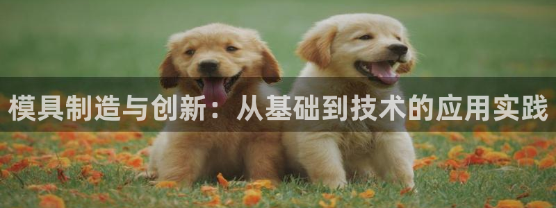 意昂体育3招商电话号码是多少：模具制造与创新：从基础到技术的