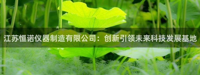 意昂体育3招商电话：江苏恒诺仪器制造有限公司：创新引领未来科