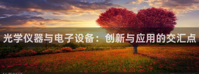 意昂3娱乐网站：光学仪器与电子设备：创新与应用的交汇点