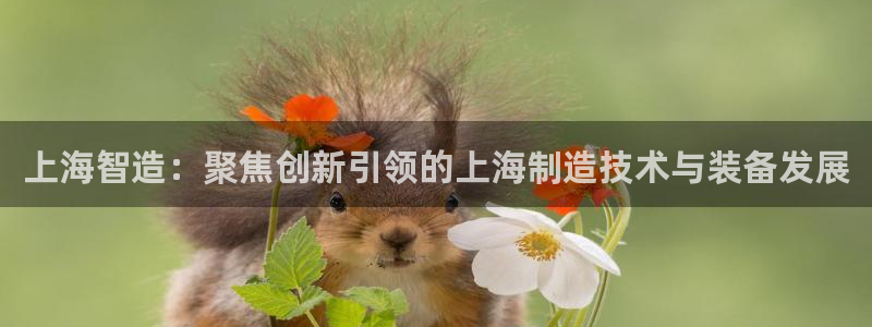 意昂3新能源：上海智造：聚焦创新引领的上海制造技术与装备发展