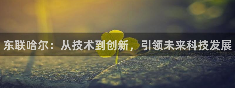 意昂体育3招商电话地址：东联哈尔：从技术到创新，引领未来科技