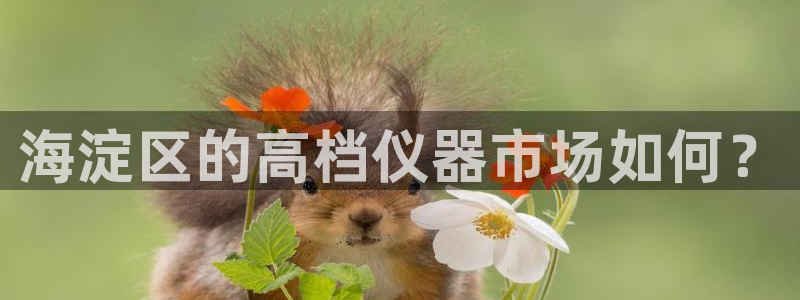 意昂体育3招商电话号码是多少啊：海淀区的高档仪器市场如何？
