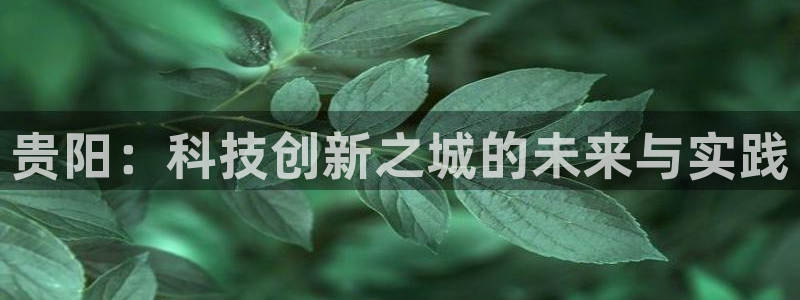 意昂体育3联系电话：贵阳：科技创新之城的未来与实践