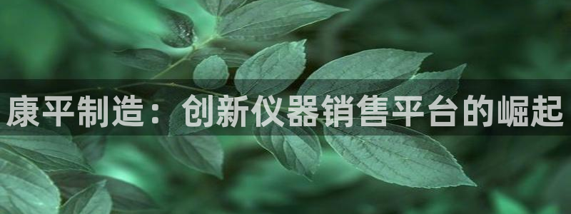 意昂体育3开户：康平制造：创新仪器销售平台的崛起