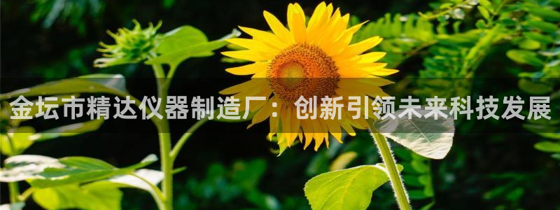 意昂体育3招商电话是多少：金坛市精达仪器制造厂：创新引领未来