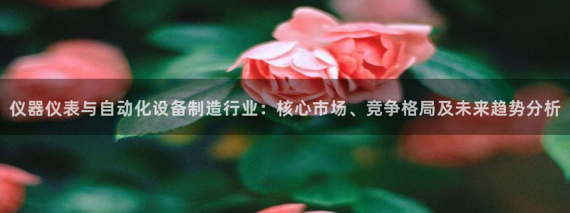 意昂3科技：仪器仪表与自动化设备制造行业：核心市场、竞争格局