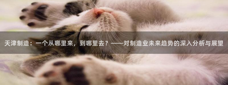 意昂3新能源：天津制造：一个从哪里来，到哪里去？——对制造业