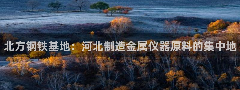 意昂体育3娱乐：北方钢铁基地：河北制造金属仪器原料的集中地