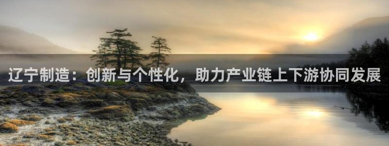 意昂平台体育：辽宁制造：创新与个性化，助力产业链上下游协同发