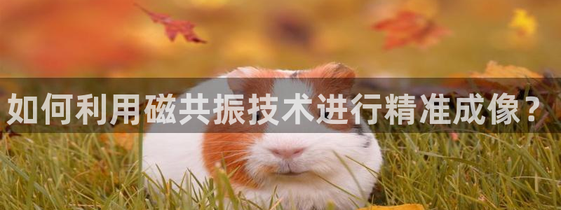 意昂3集团官网首页网址：如何利用磁共振技术进行精准成像？