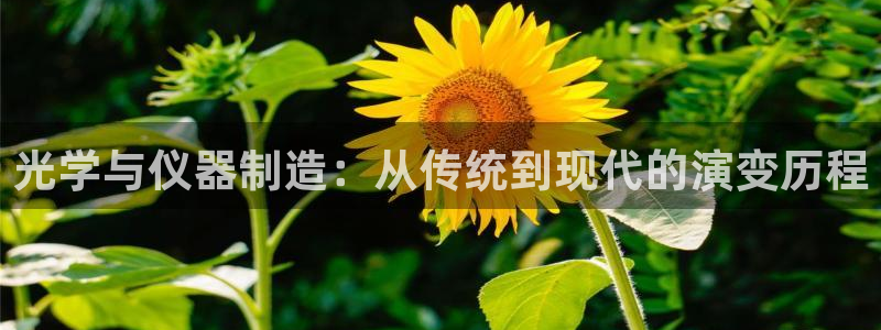 意昂3开户：光学与仪器制造：从传统到现代的演变历程