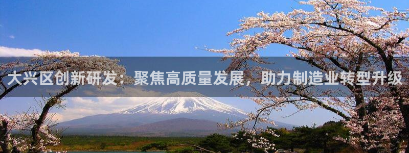 意昂3集团官网首页：大兴区创新研发：聚焦高质量发展，助力制造