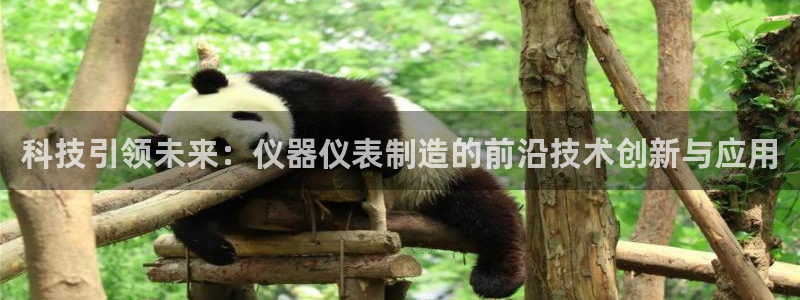 意昂3娱乐：科技引领未来：仪器仪表制造的前沿技术创新与应用