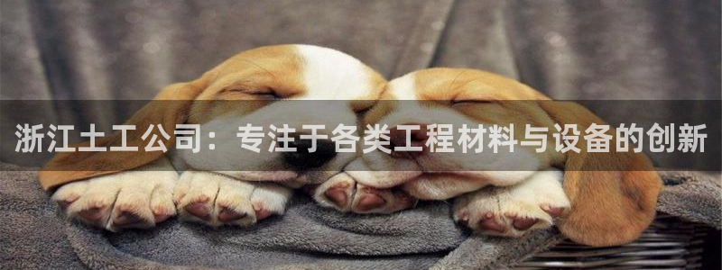 意昂体育3招商电话：浙江土工公司：专注于各类工程材料与设备的