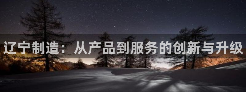 意昂体育3平台是正规平台吗安全吗：辽宁制造：从产品到服务的创