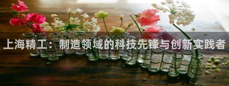意昂3娱乐下载：上海精工：制造领域的科技先锋与创新实践者