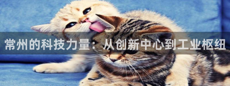 意昂体育3招商电话地址是多少：常州的科技力量：从创新中心到工