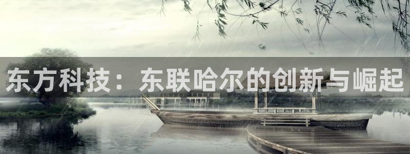 意昂体育3招商电话地址是多少：东方科技：东联哈尔的创新与崛起