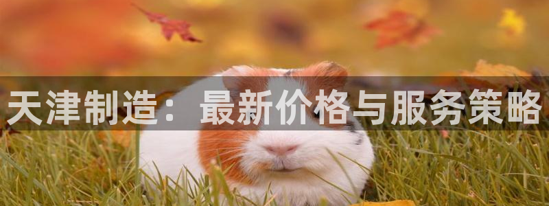 意昂3集团官网首页：天津制造：最新价格与服务策略