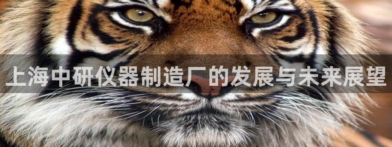 意昂3集团E.ON：上海中研仪器制造厂的发展与未来展望