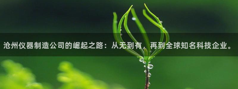 意昂体育3软件：沧州仪器制造公司的崛起之路：从无到有，再到全