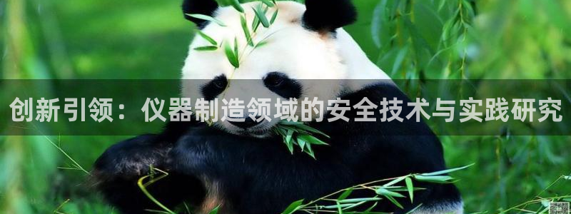 意昂3集团E.ON：创新引领：仪器制造领域的安全技术与实践研