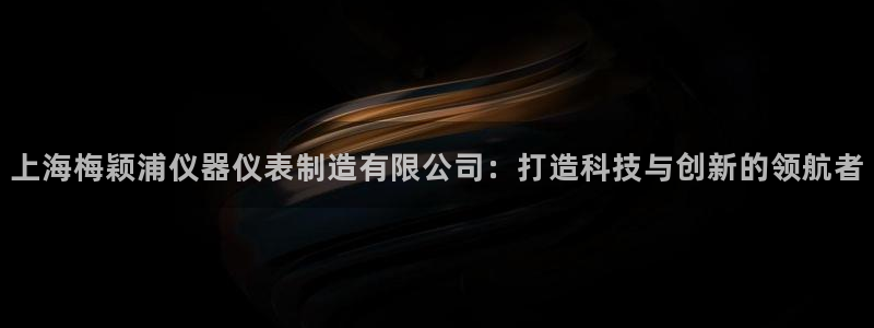 意昂体育3平台是正规平台吗安全吗：上海梅颖浦仪器仪表制造有限