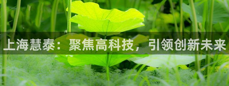 意昂3集团E.ON：上海慧泰：聚焦高科技，引领创新未来